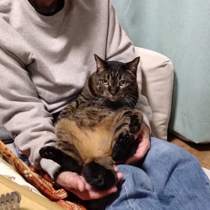 F12de1ea dc87 463d 8644 42bd27ae91fb 1768732643014