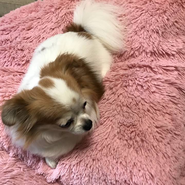 F12de3ee e641 4518 9821 07800cfda39a 1566694647238