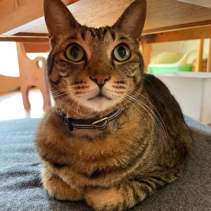 F12e1f6c 5958 4b13 b17c bfa6e78425eb 1755179061290