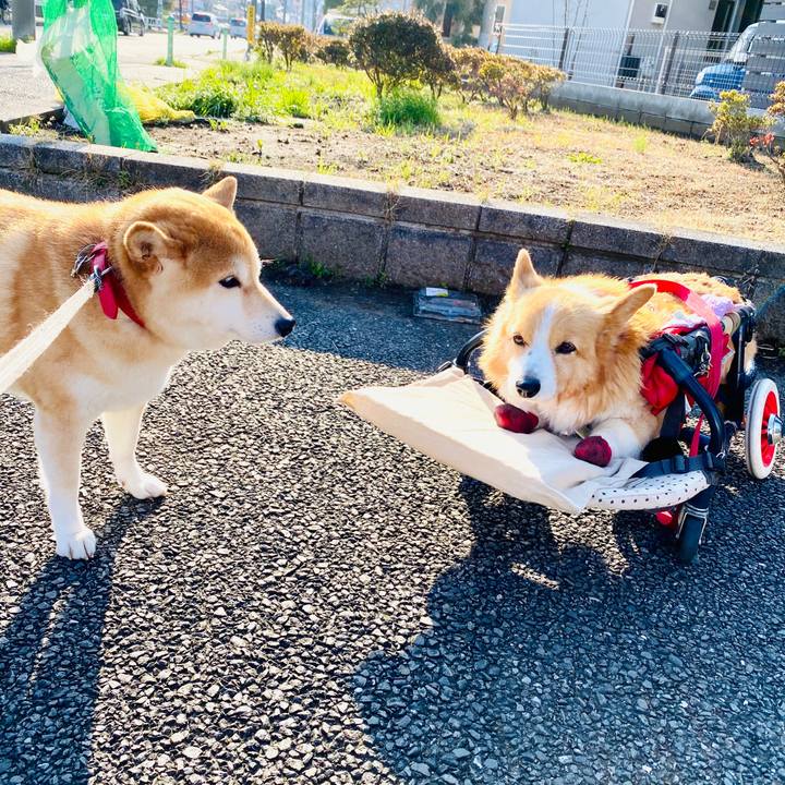 F12e36d6 f987 4b94 be41 cb146715670b 1584368067568