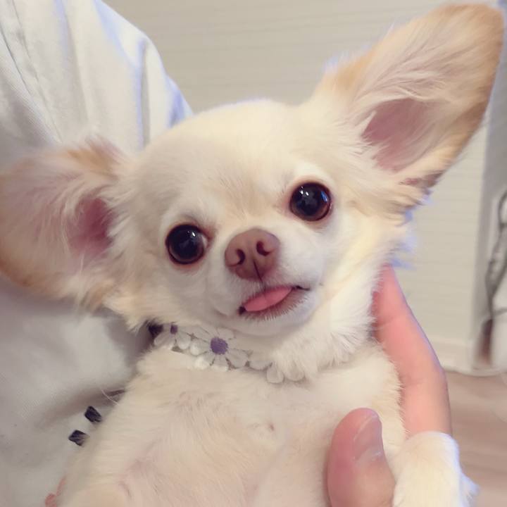 F12e7218 f32d 4b69 b550 e921a2651ca6 1694924650878