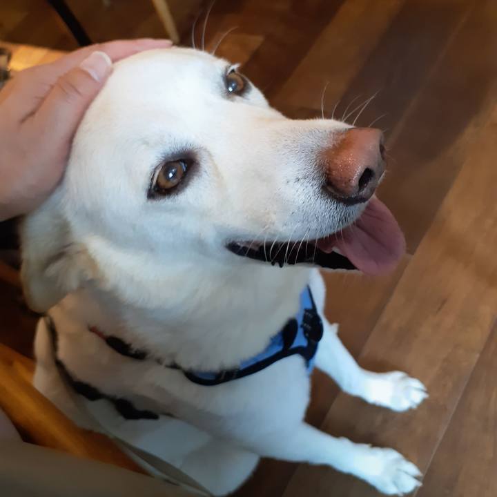 F12e83cf b4b0 4081 a9ab ffa9a306f6c1 1684591761647