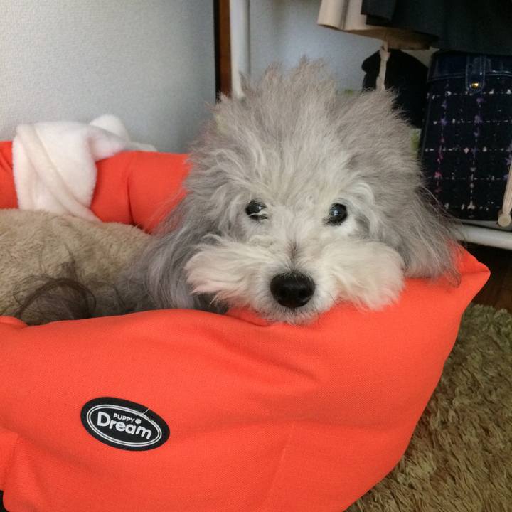 F12e8497 8eb2 44f4 880f 981fe64e9c58 1515472450511