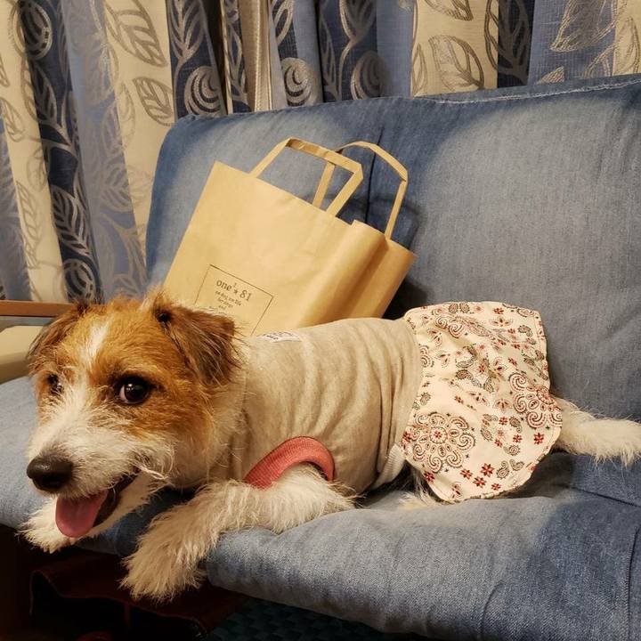 F12e9556 effd 4e7a 8c3a 7007a7e3bd25 1601203172907