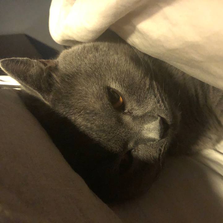 F12e97d4 af92 4294 909a 149e7d90ed5b 1517525903047