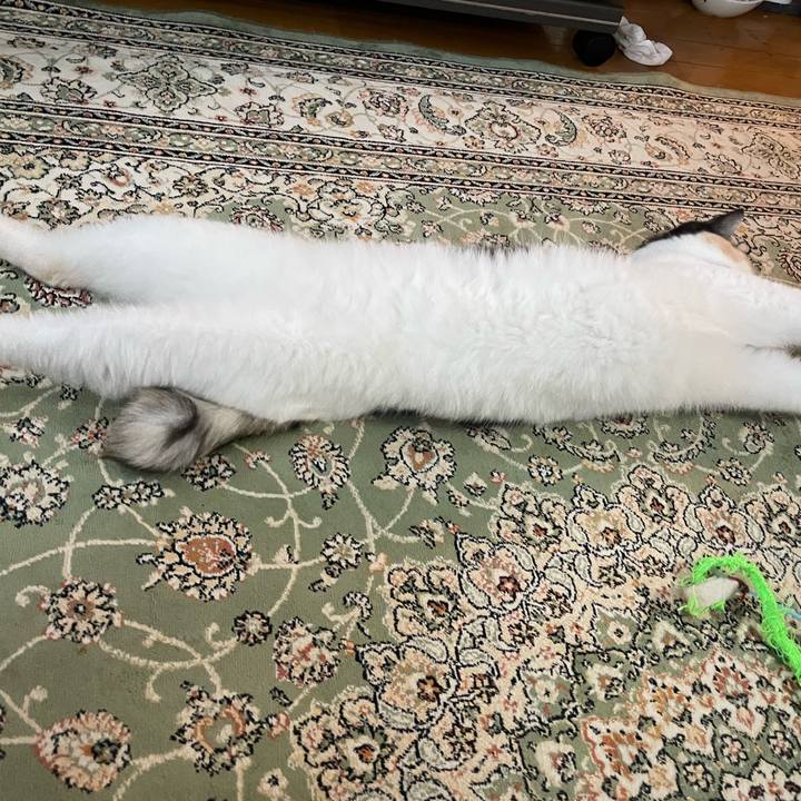 F12eb1bf f89e 4442 942a 69c1018017b4 1720763736017