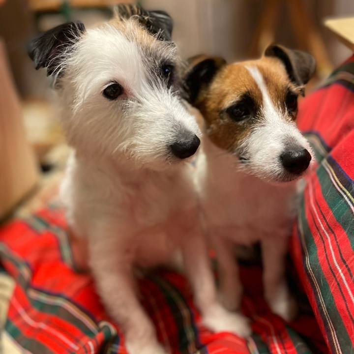 F12ec7b7 3d03 4a0e a14e 67b619e1122a 1652704261636