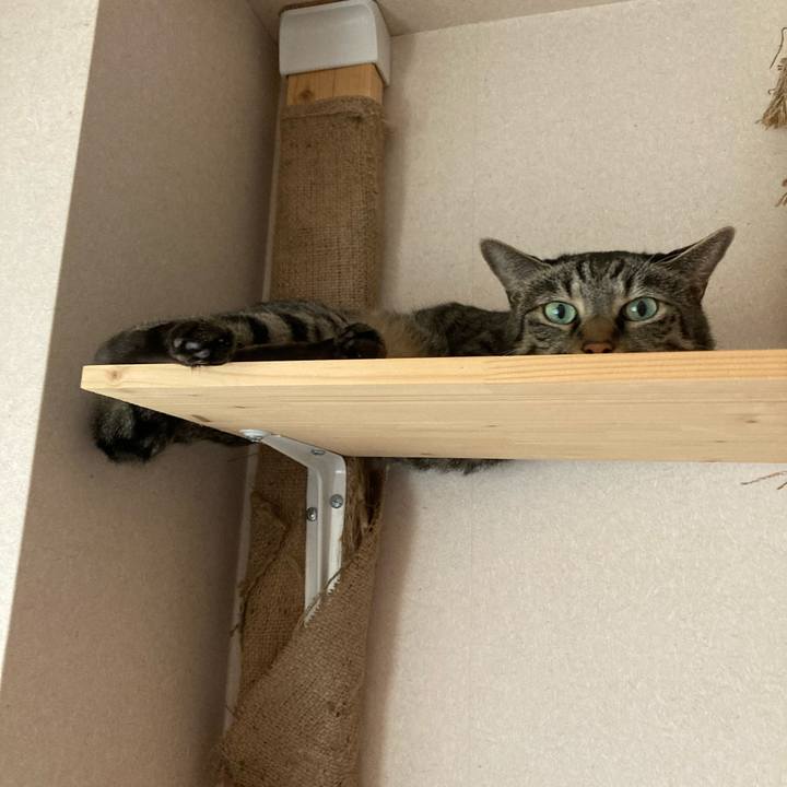 F12edb27 c3db 4629 9904 19dd8dcd72ce 1629625497566