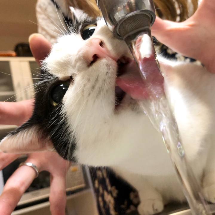 F12ef229 d81e 4fad 8f76 3f7f8ce98fe5 1603452566809