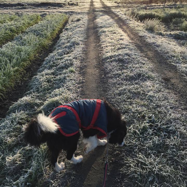 F12f0481 6d15 4987 9b06 6ae8ec851599 1582068454982