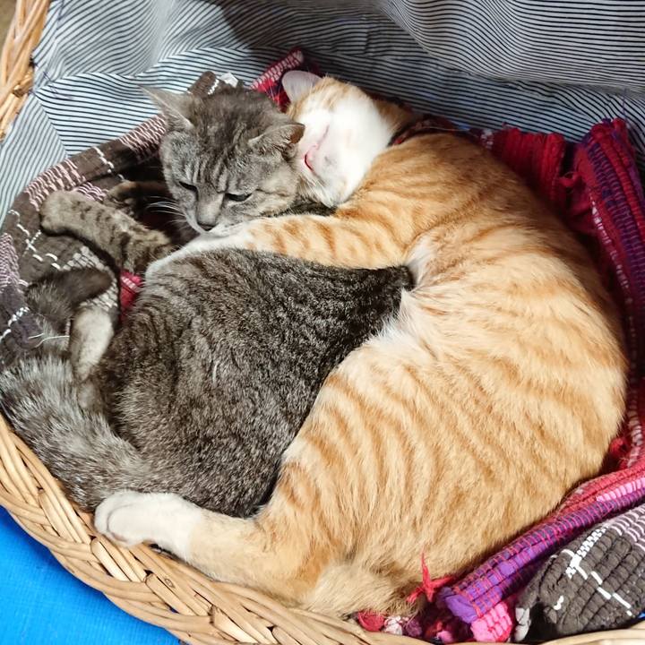 F12f05dd 74e2 4fa6 a411 2b9b31bb9438 1562483589854