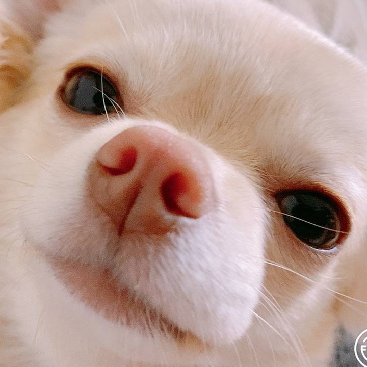 F12f5a58 56ca 4800 8010 890de9eb92bd 1611092296158