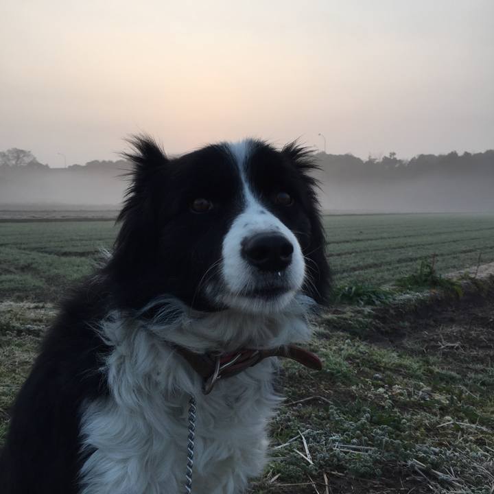 F12f8c70 6529 47ef a94a c1927231bc9d 1516406753682