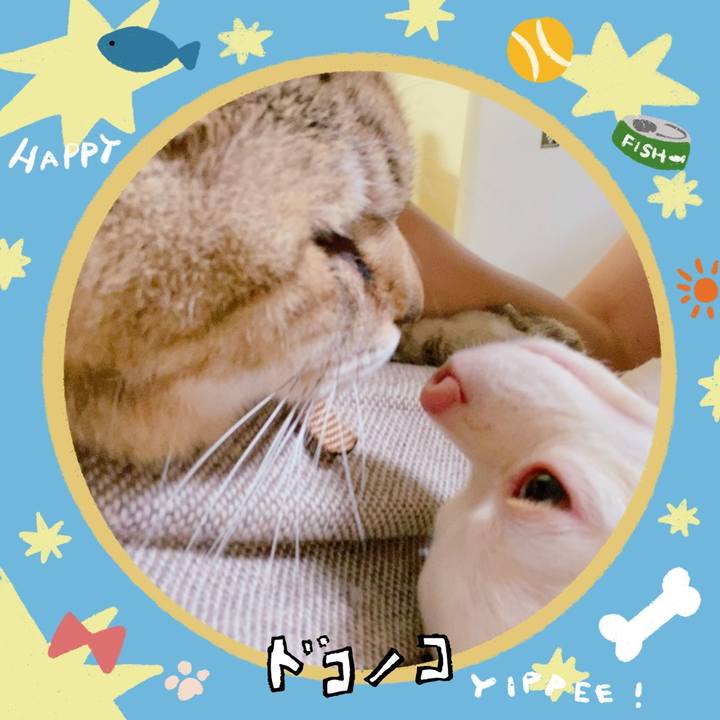 F12f99c2 dd22 41ee b1d1 1d861f14bd05 1720920084139