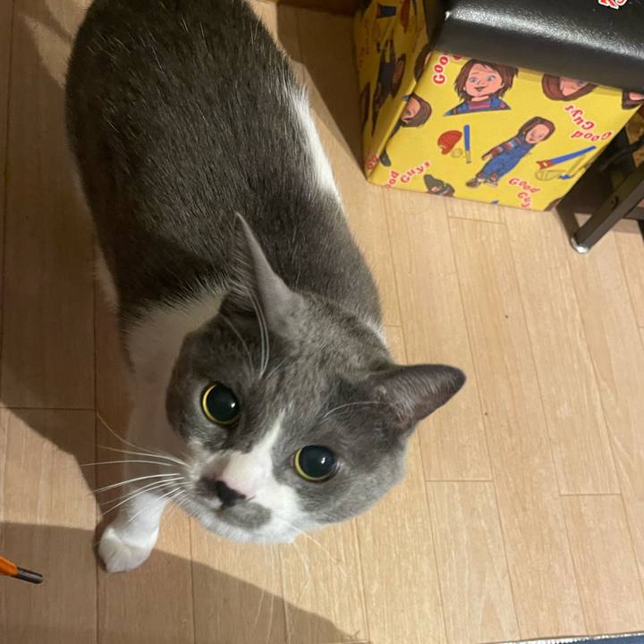 F12fa162 53fa 4331 9ea6 3a29b0cc654b 1732185593520