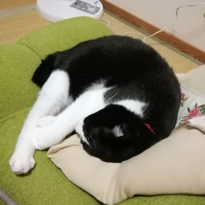 F130052c 7672 4df8 ae5e c086056f4600 1569591241760