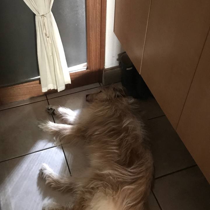 F1301703 16c6 4909 8068 42189d035253 1591424156916