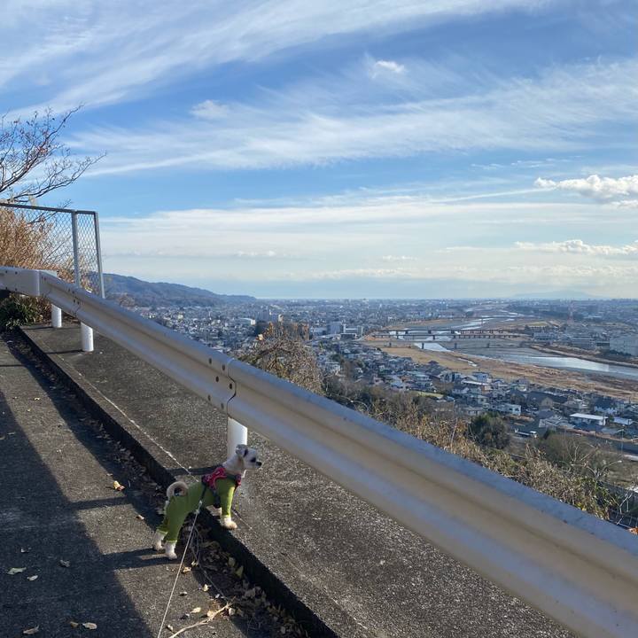 F1302dde 4fbd 412f 9e52 79726b6a72ca 1608964926894