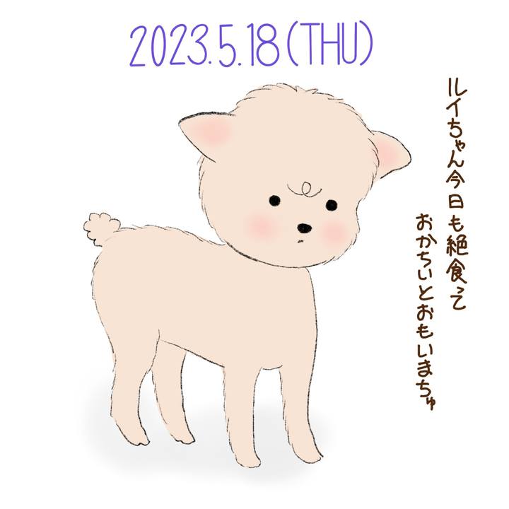 F130360f 13bd 4ebb ab29 8b681e2664b2 1684413063497