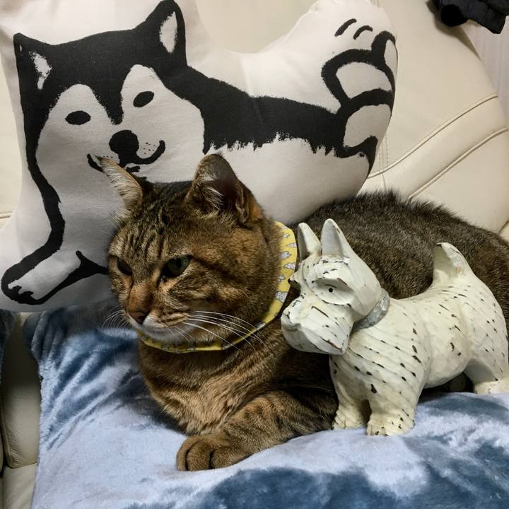 F1303694 3e7a 48ed a5d4 7b86426a9002 1603845417674