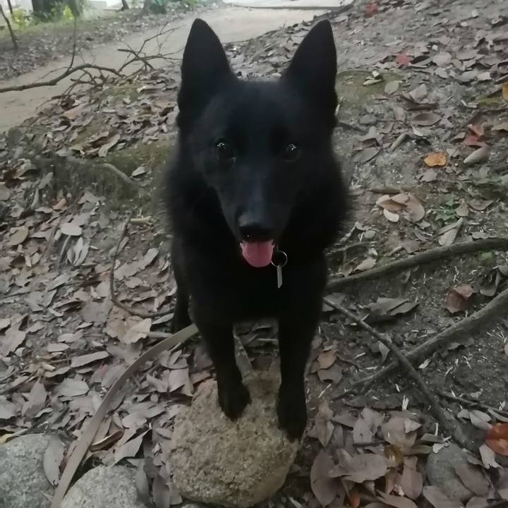 F1304f8d 4fcc 493e a417 6417ecc5fdb8 1633556439023