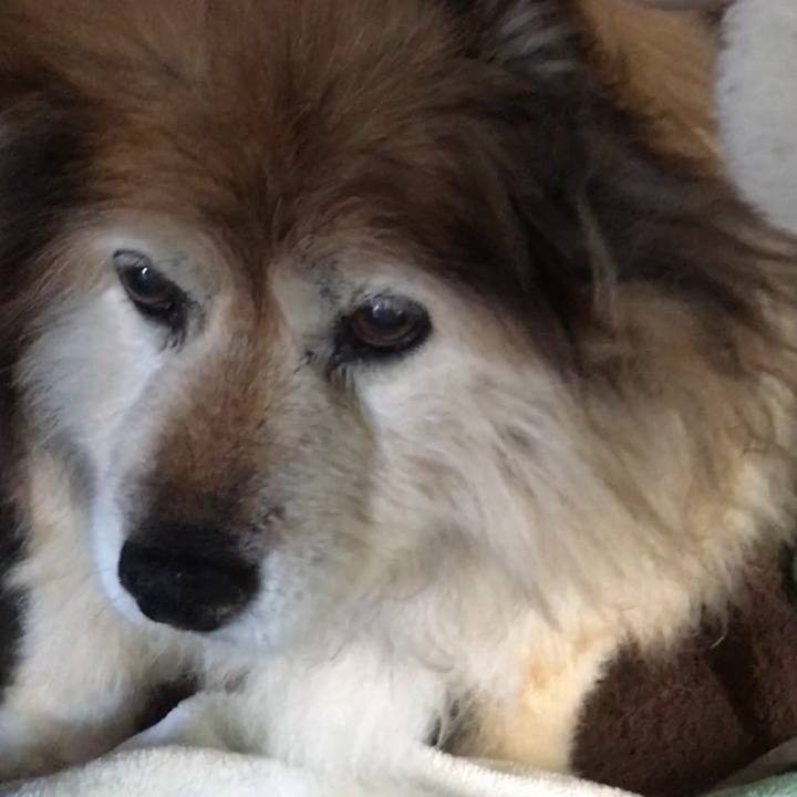 F1308480 90b5 4279 a342 3fc7752b329b 1615002026279