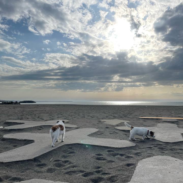 F1308f17 7b06 4d95 966c cc1dd7993558 1713259173094