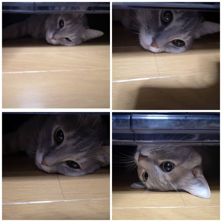 F130aa8c 1a9b 4ea4 90f9 ee069dfe9f39 1582854951571