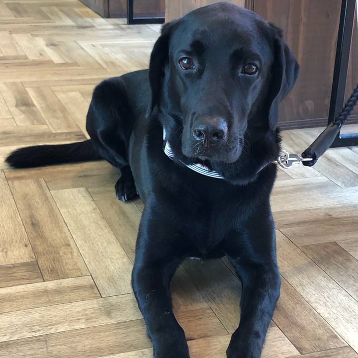 F130b40d cadd 4afe 8cb4 67d05bde3146 1567991969770