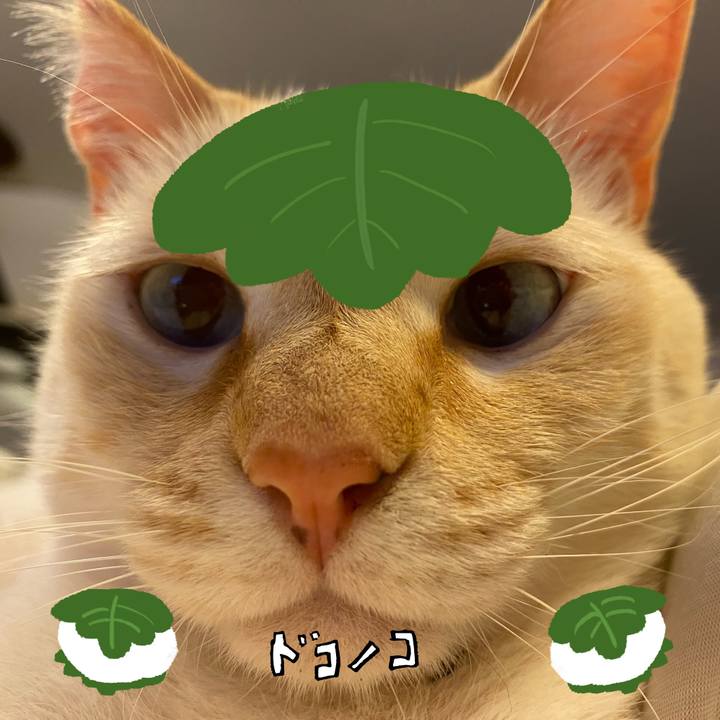 F130bb18 2b8e 483b 8e25 9790823821bf 1749126256212