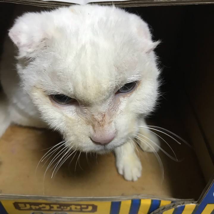 F130c41e a6e7 47af b3b2 28cd662ac830 1589895235771