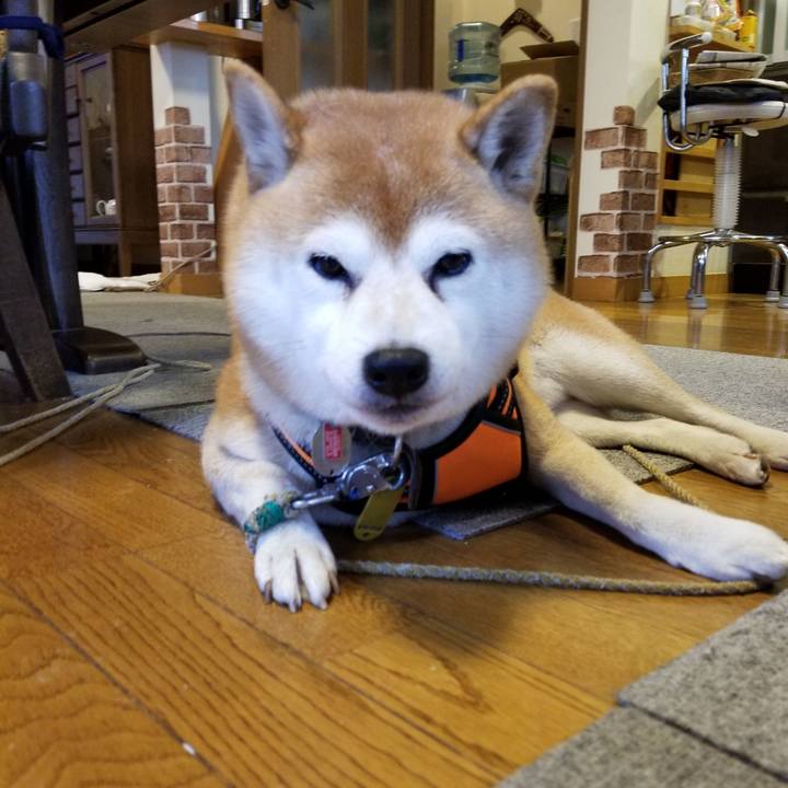 F131075d 5b37 4230 8bab 32490130d63a 1604903988996