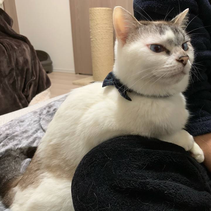 F1311189 25f7 4a75 9897 722db9034915 1585751770183