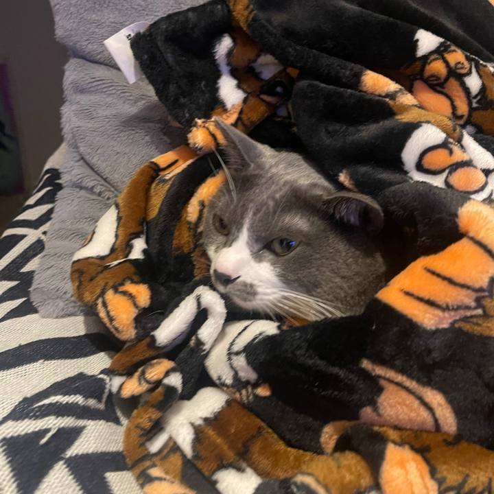 F1316a51 f27c 45ba 8173 a1ccdd69a5e5 1701003907364