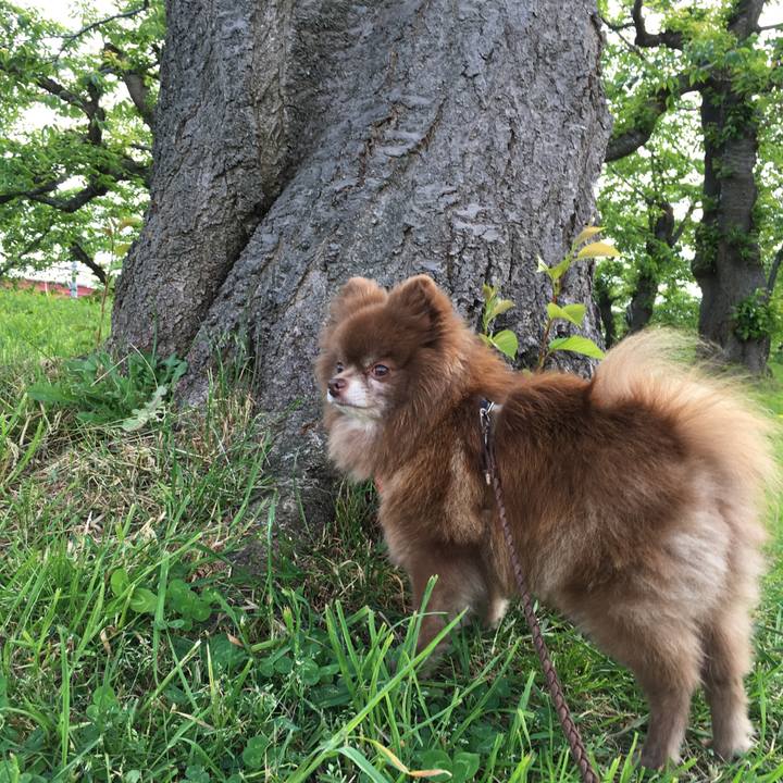 F131f1ba e60a 430e a65f aedf91c8e56c 1527773676436