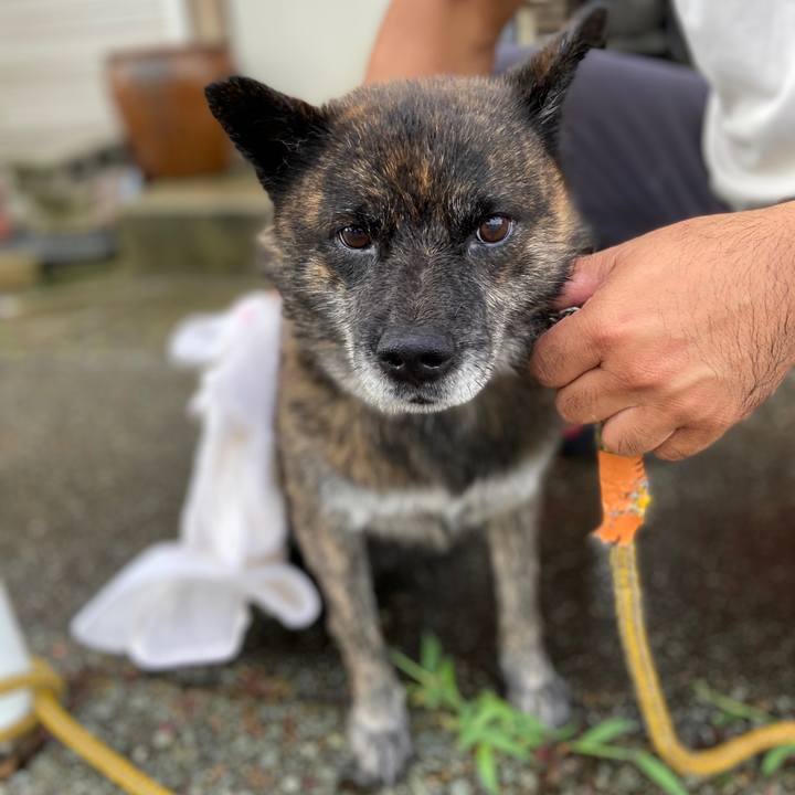 F132118a 36c8 4f30 9846 9ad3b542a34b 1597013277490