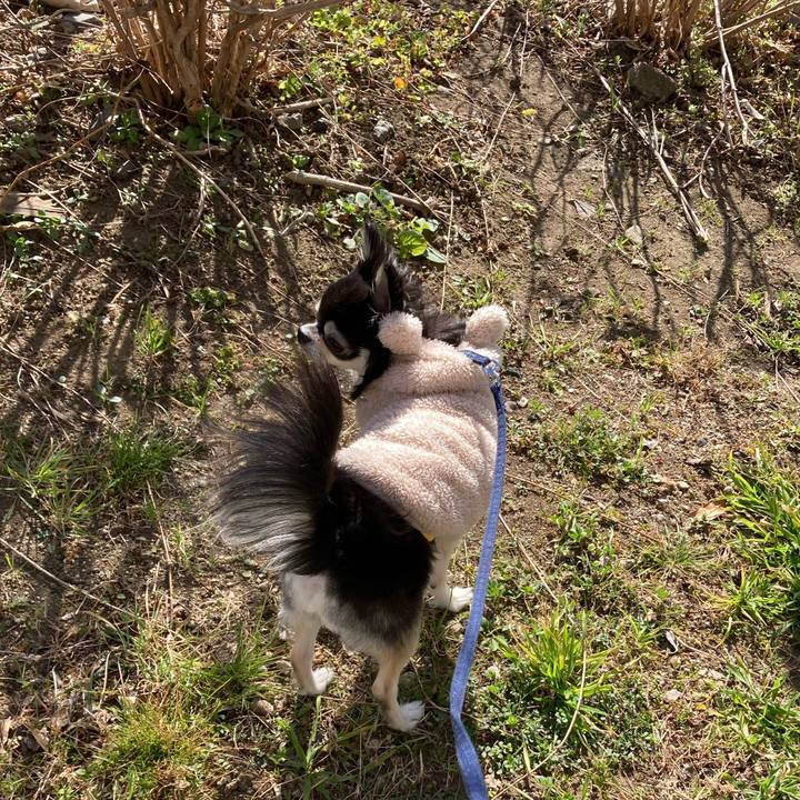 F1321227 99d6 4f11 86f0 def6d7af379b 1677943389462