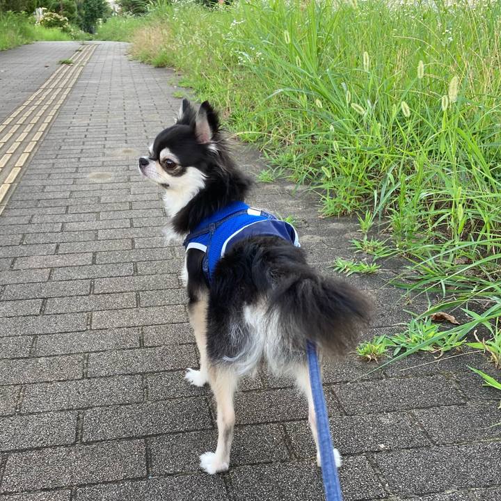 F13260df dfcc 4685 8d2a e496e425a482 1689519409912