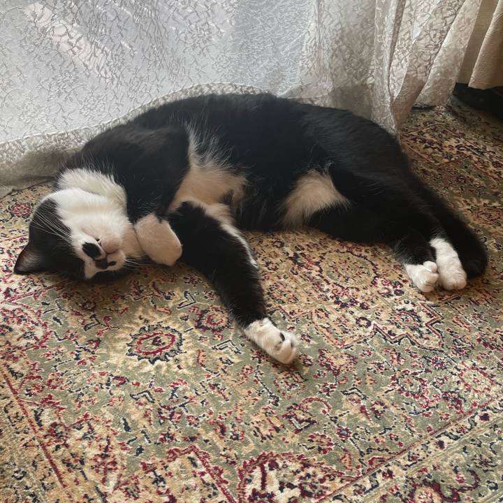 F1326aed 94a2 4354 95c1 d273afa57ed7 1722211032943