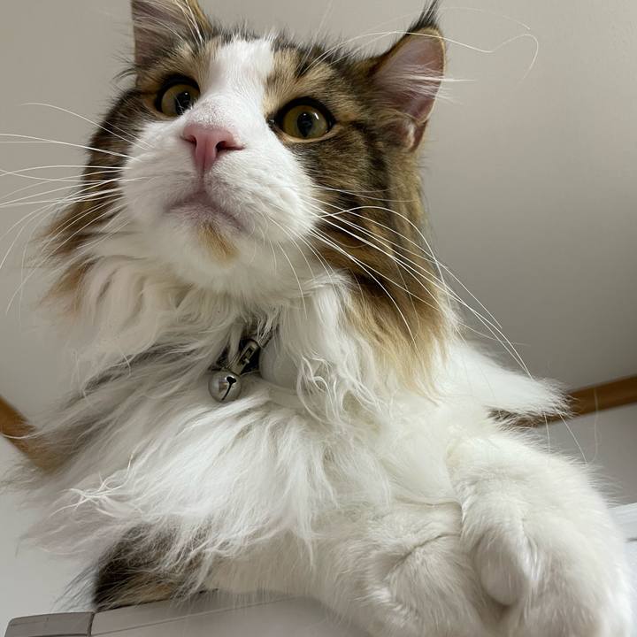 F1328ead 988b 4e70 be17 3f3dd46e4ab3 1644580791226