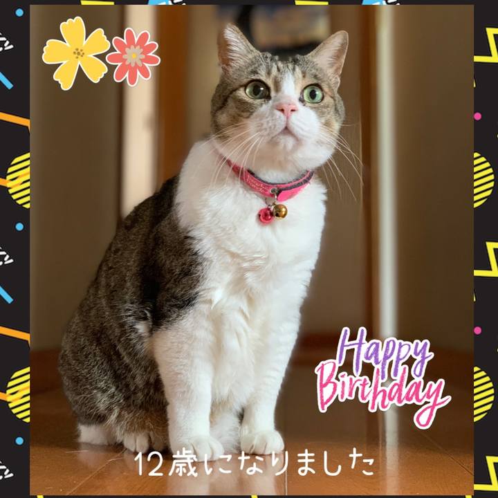 F132b8fe 9ba4 4aed 93ab 9d6dfa4c4aa3 1666946194936