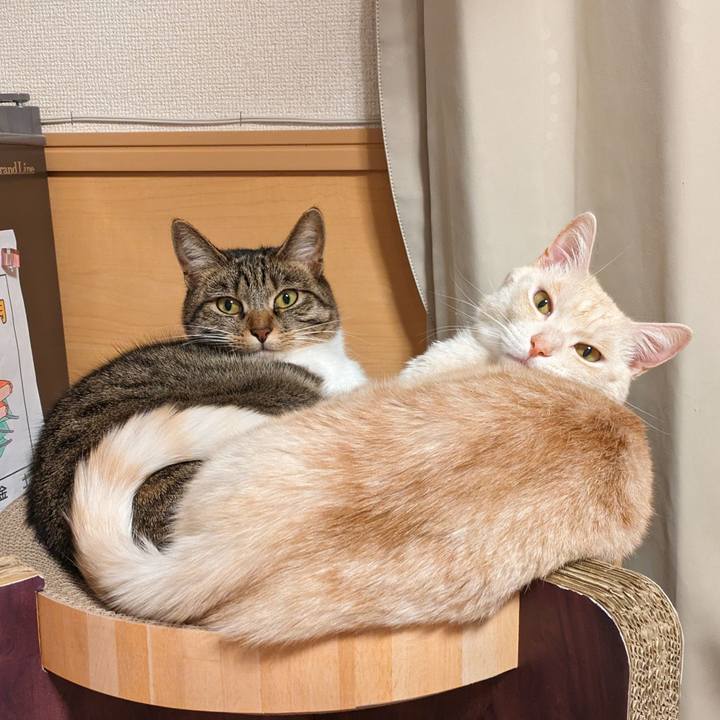 F132d89e ebb6 44c8 97b4 419aab8daf0c 1703859892367