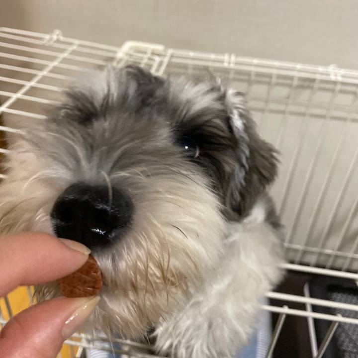 F132dd1a bc7c 498c a227 decef8605338 1569941269733