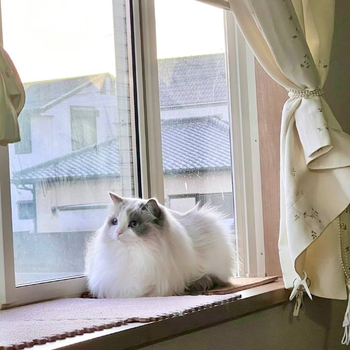 F132ef20 7c83 4eaa a62a 4a4c4a403197 1703542439505