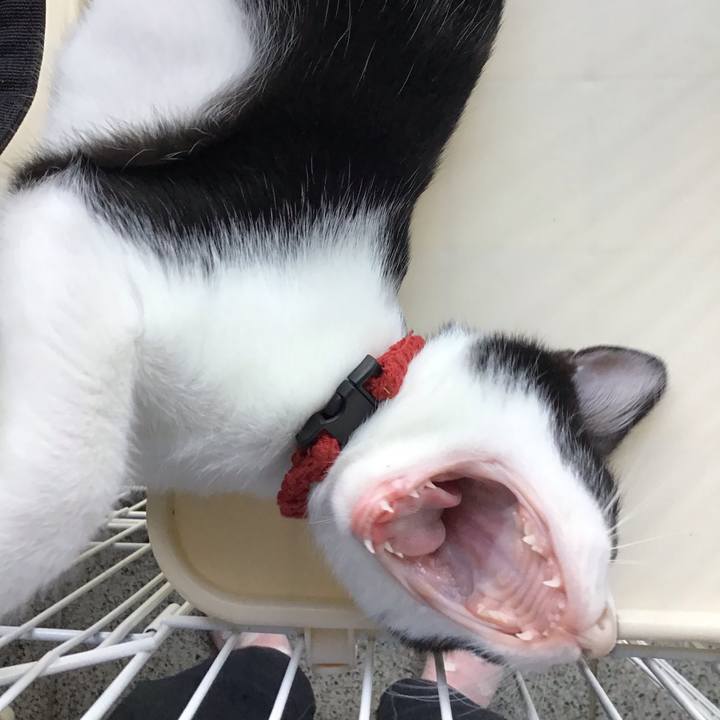 F1330dfd bcb1 4150 ab19 7ce1cffa71dc 1627461647557