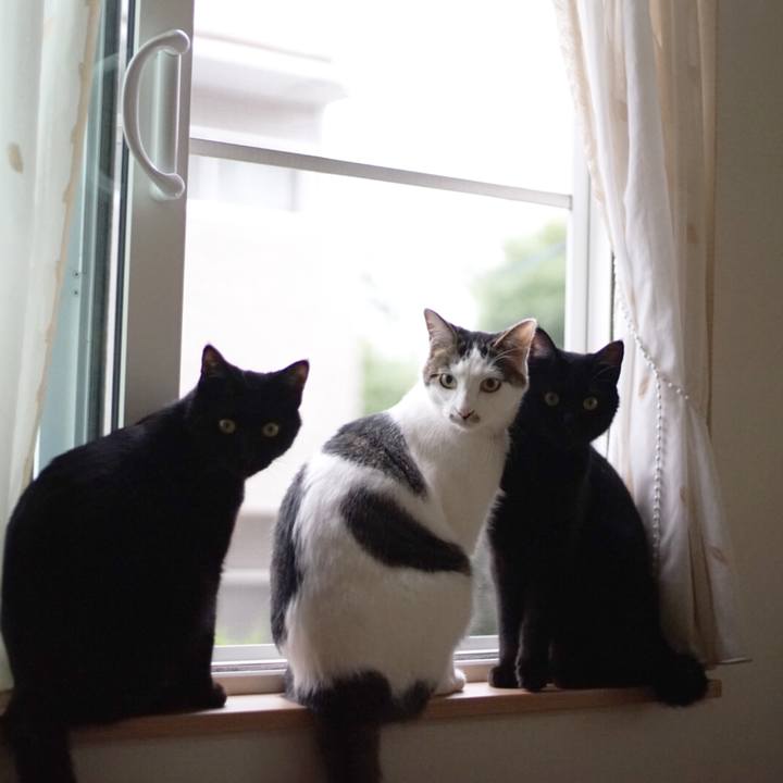 F1333588 1ac0 4aaa 8ab3 6f5f4e49640b 1528328473931