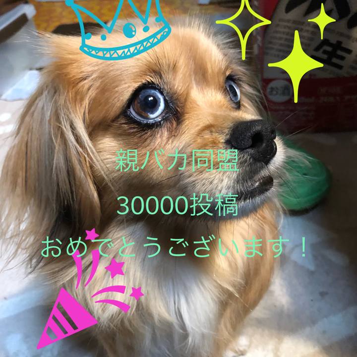 F133ac57 980f 437a bc54 b785214a11a6 1555935591014