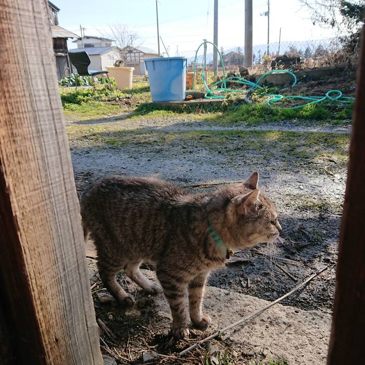 F133e010 cbf1 454e 8d72 71a04ac82eec 1576292722583