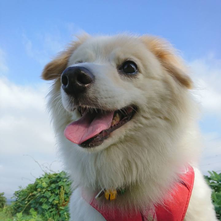 F133e176 c49c 4d7a bf9d 7ade922f7cfd 1532987451601