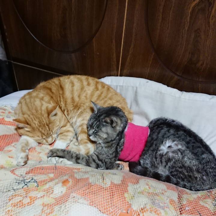 F13431ee c5a8 4160 add9 f4ab810e48fd 1586694154660